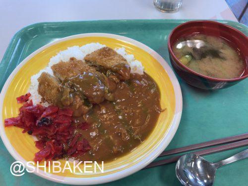 東京お役所ごはん5 国際協力センター東京 Jica の食堂でポークジンジャーを食す 柴剣談話室