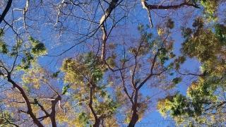 Thumbnail of post image 113