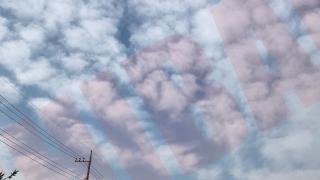 Thumbnail of post image 035