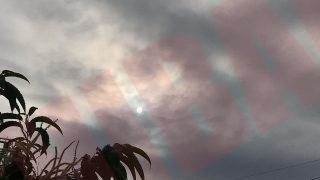 Thumbnail of post image 191