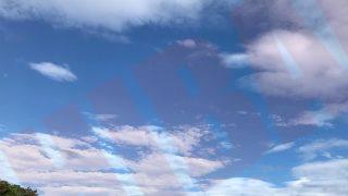 Thumbnail of post image 083