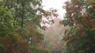 Thumbnail of post image 004