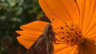 Thumbnail of post image 005
