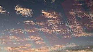 Thumbnail of post image 182